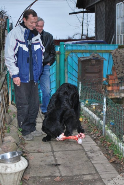 Фото: Natal'ya Smirnova (Наталья Смирнова)