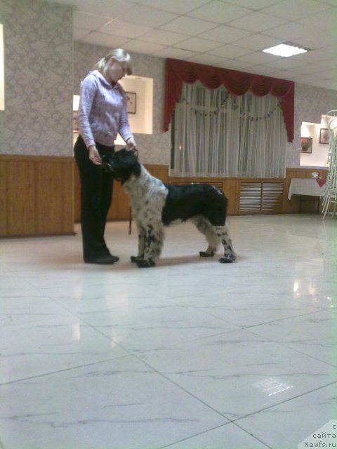 Фотография № 81005