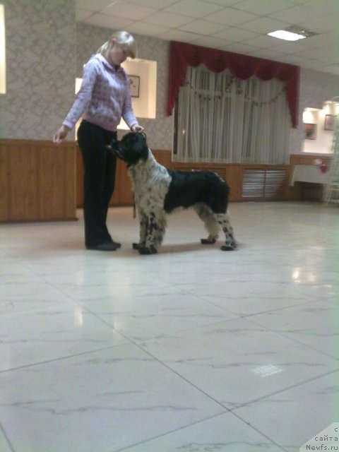 Фотография № 81006