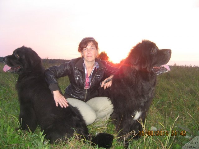 Фото: ньюфаундленд Barbara CHernyiy Bril'yant (Барбара Черный Брильянт), [p630:я, неприкаянная], ньюфаундленд Balustar de Mantal'chino (Балустар де Мантальчино)