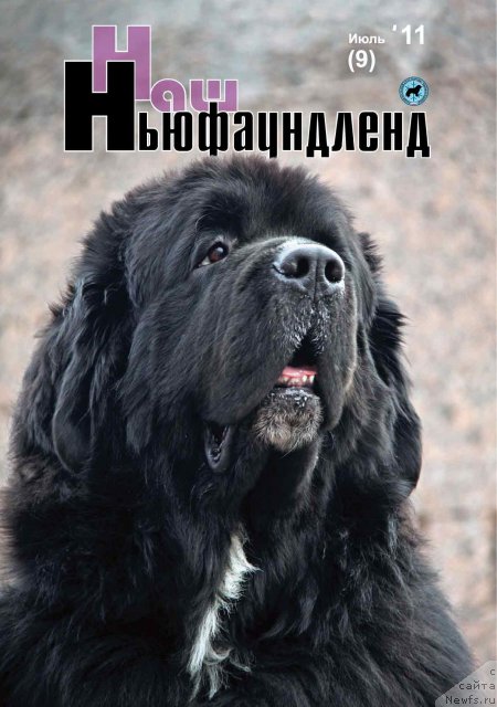 Фотография № 81045