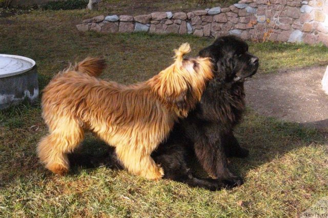 Фото: Зар и Аська