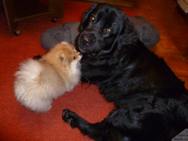 Фотография № 81057