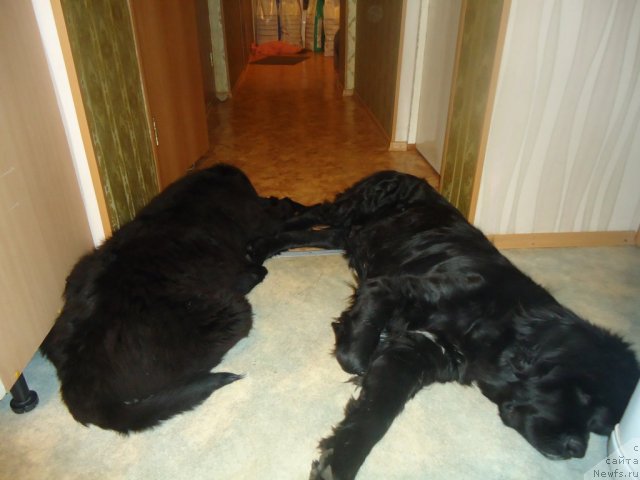 Фотография № 81066