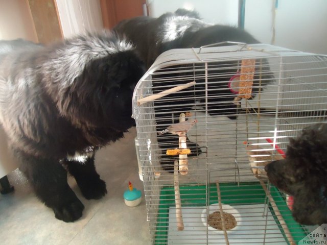 Фотография № 81069