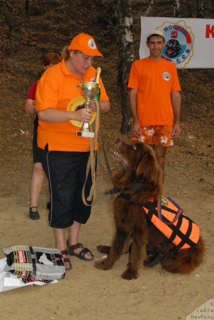 Фотография № 81092