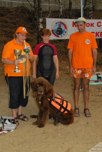 Фотография № 81093