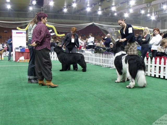 Фотография № 81128