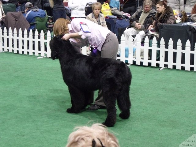 Фотография № 81129