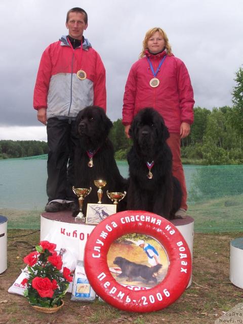 Фото: ньюфаундленд Akvanavt iz Tihogo Omuta (Акванавт из Тихого Омута), ньюфаундленд Vell Spirit Lillit (Велл Спирит Лилит), Tat'yana Abutova (Татьяна Абутова), Карпов Владимир