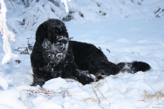 Фотография № 81147