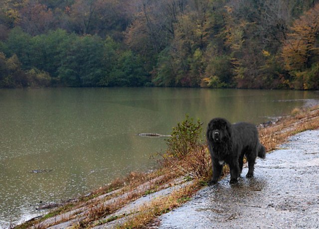 Фотография № 81156