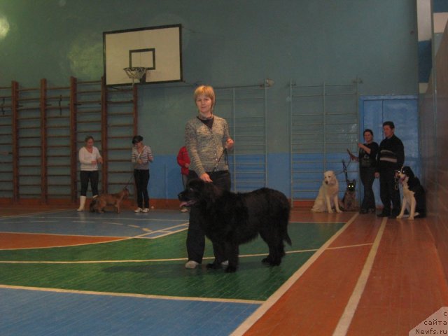 Фото: Ol'ga Budina (Ольга Будина), Александрия Моя Радость