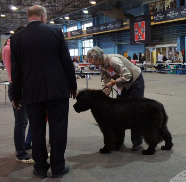 Фотография № 81188