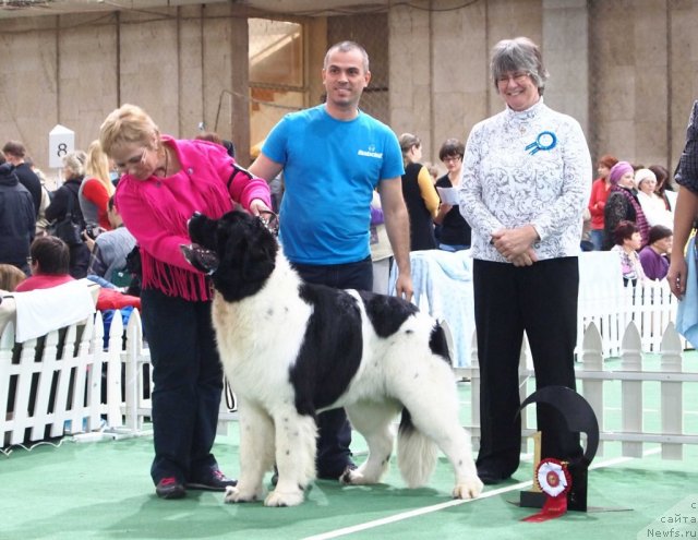 Фотография № 81195