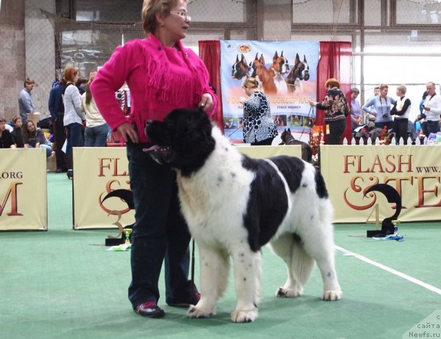 Фотография № 81197