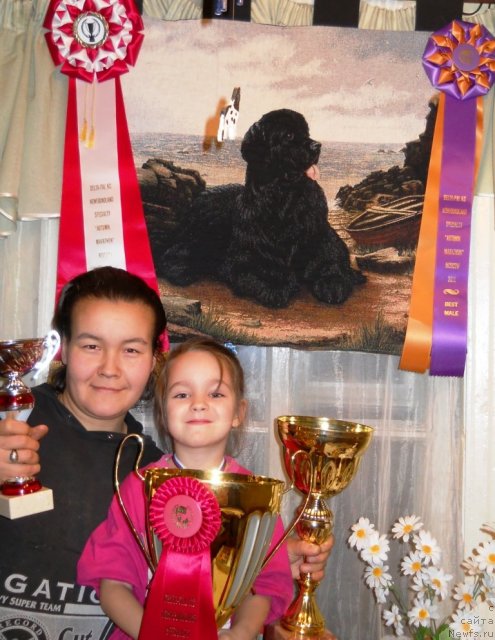 Фотография № 81201