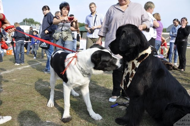 Фотография № 81212