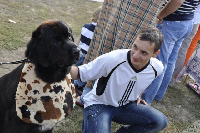 Фотография № 81213