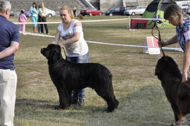 Фотография № 81214