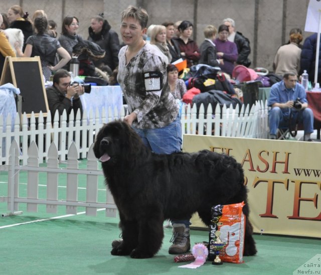 Фотография № 81228