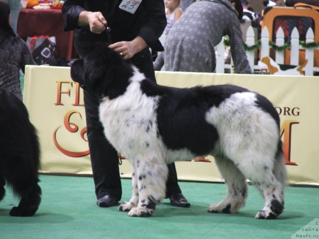 Фотография № 81236