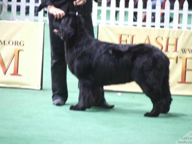 Фотография № 81240