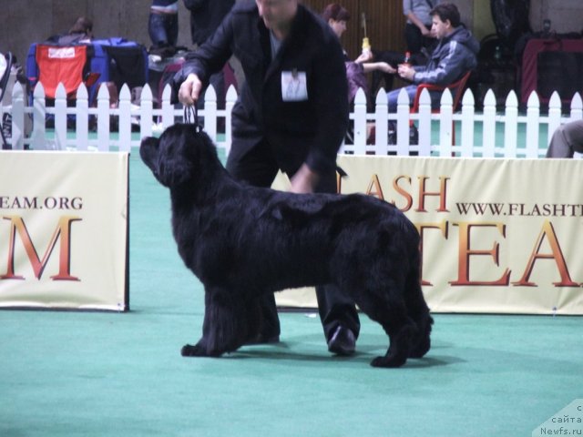 Фотография № 81241