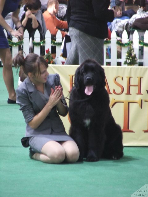 Фотография № 81243