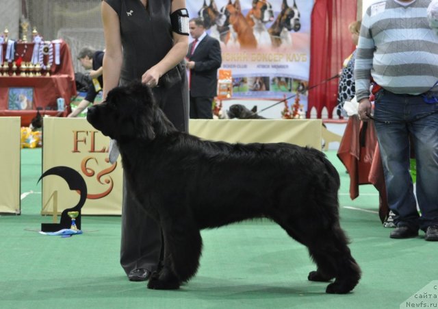 Фотография № 81248