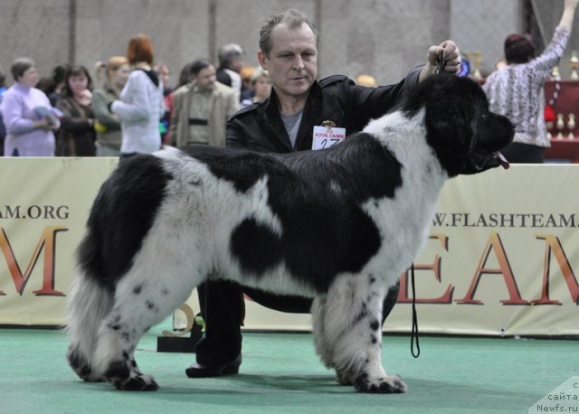 Фотография № 81251