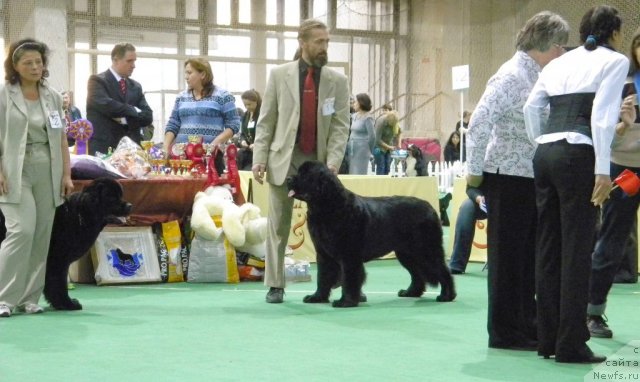 Фотография № 81272