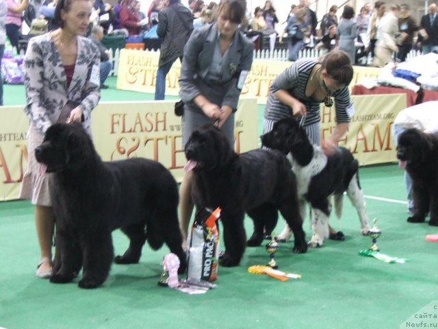 Фотография № 81274