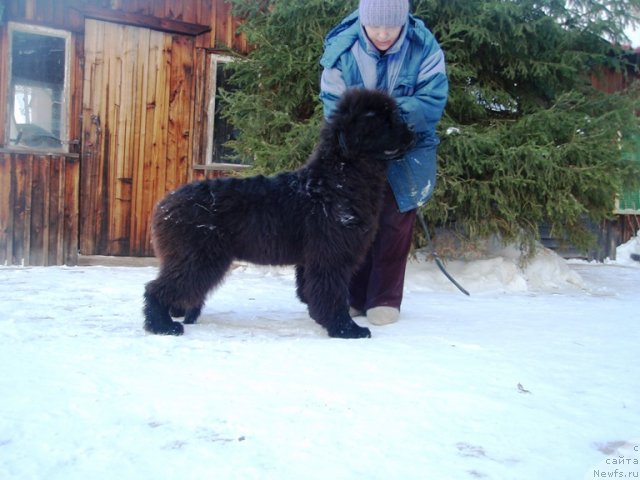 Фотография № 81336