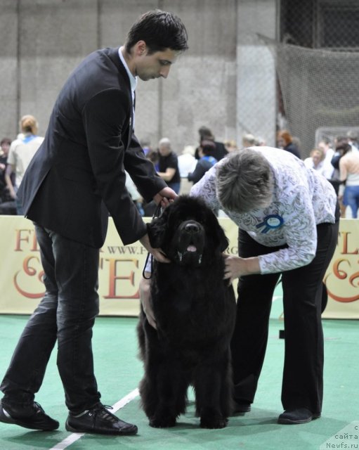 Фотография № 81352