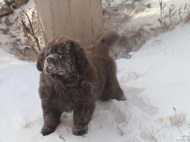 Фото: Акватория Келвин Селебрейшн 3 месяца