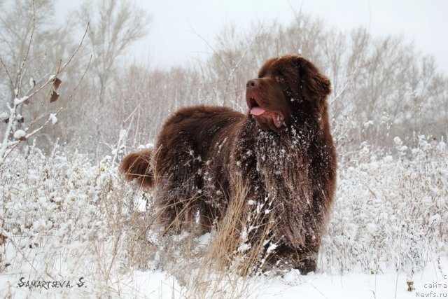 Фотография № 81360