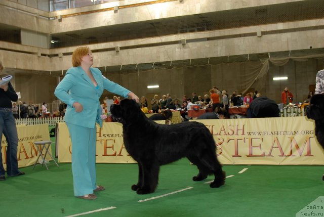 Фотография № 81370