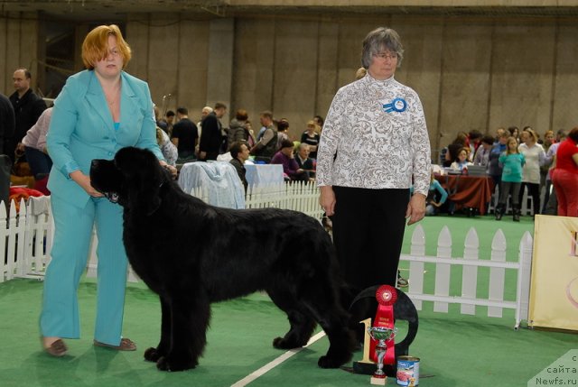 Фотография № 81372