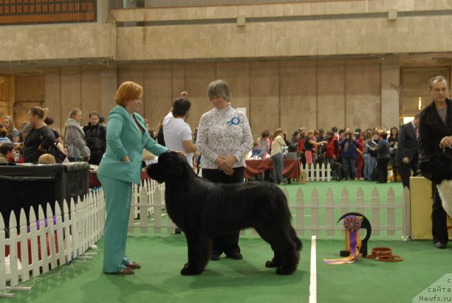 Фотография № 81376