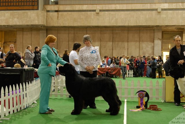 Фотография № 81377