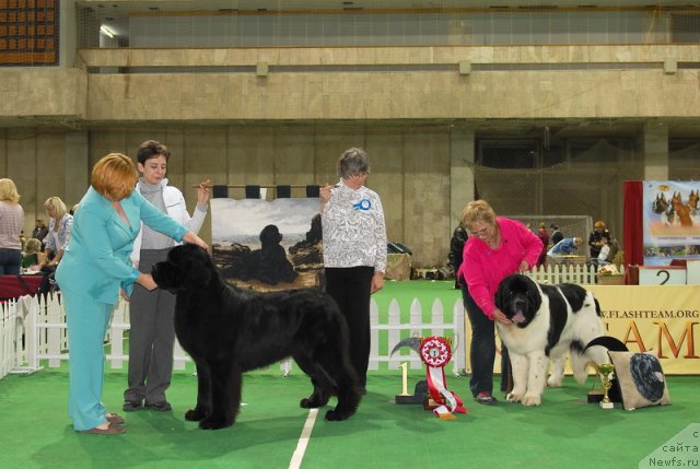 Фотография № 81379