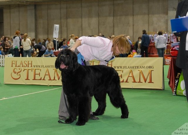 Фотография № 81395