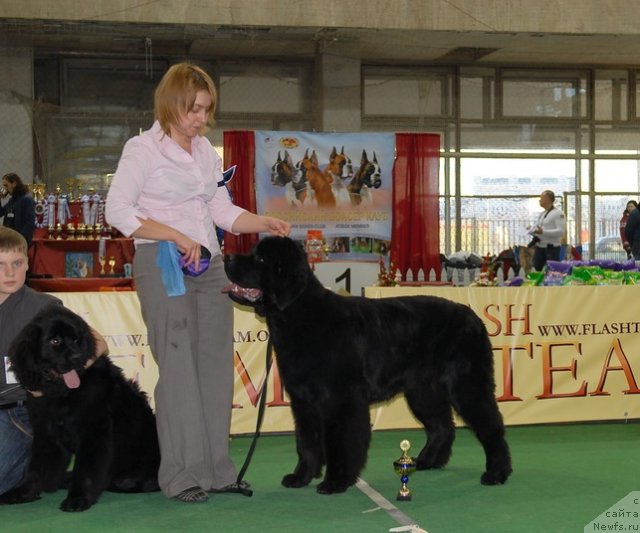 Фотография № 81396