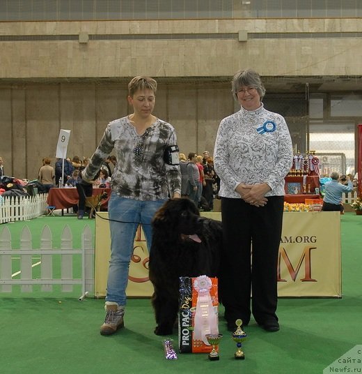 Фотография № 81400