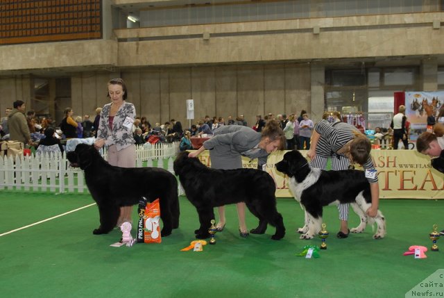 Фотография № 81401