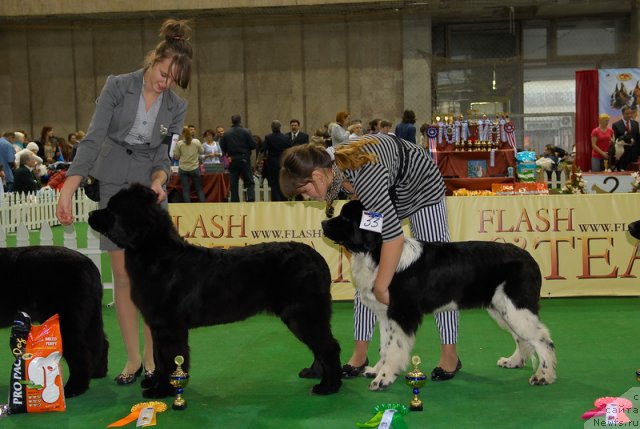 Фотография № 81403