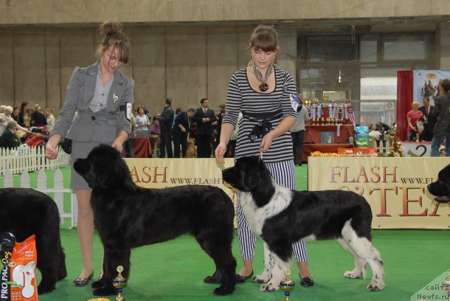 Фотография № 81404