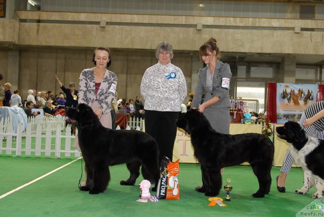 Фотография № 81410