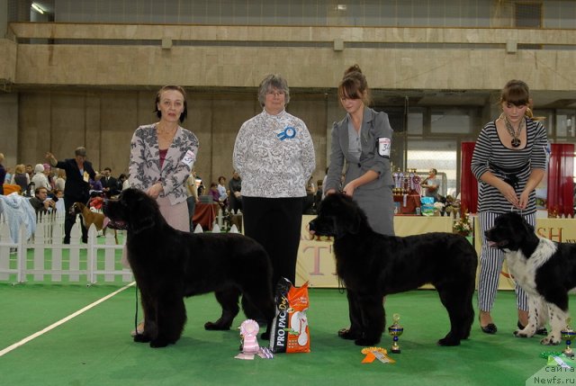 Фотография № 81411